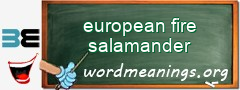 WordMeaning blackboard for european fire salamander